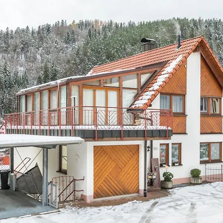 Appartement Schwarzwalduhren Nescht Triberg à Triberg im Schwarzwald Extérieur photo