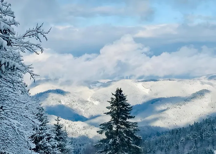 Schwarzwalduhren Nescht Triberg