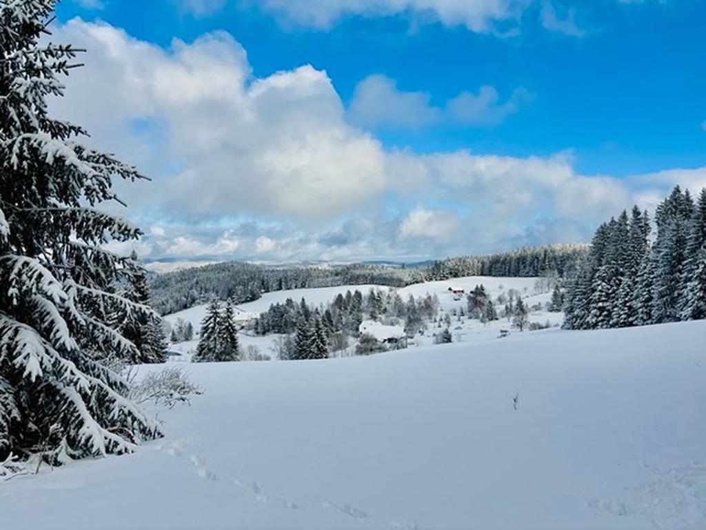 Schwarzwalduhren Nescht Triberg Appartement Triberg im Schwarzwald