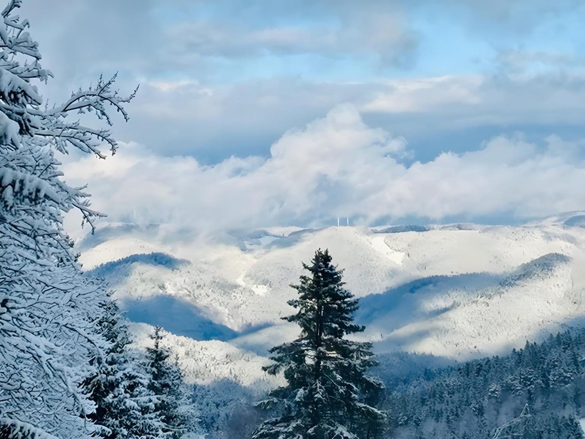 Appartement Schwarzwalduhren Nescht Triberg Triberg im Schwarzwald